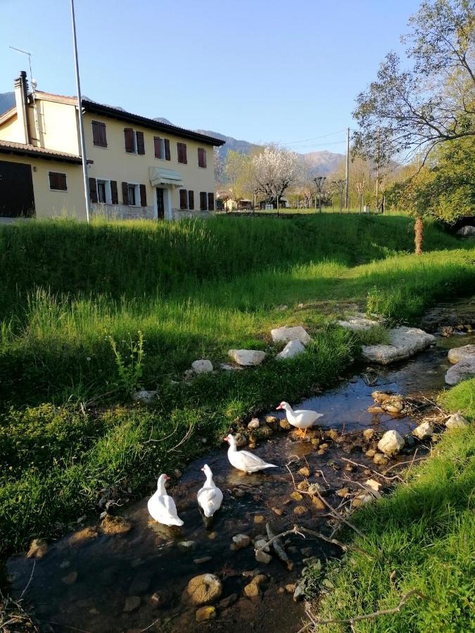 Agriturismo Da Andreina Borso del Grappa Exterior foto